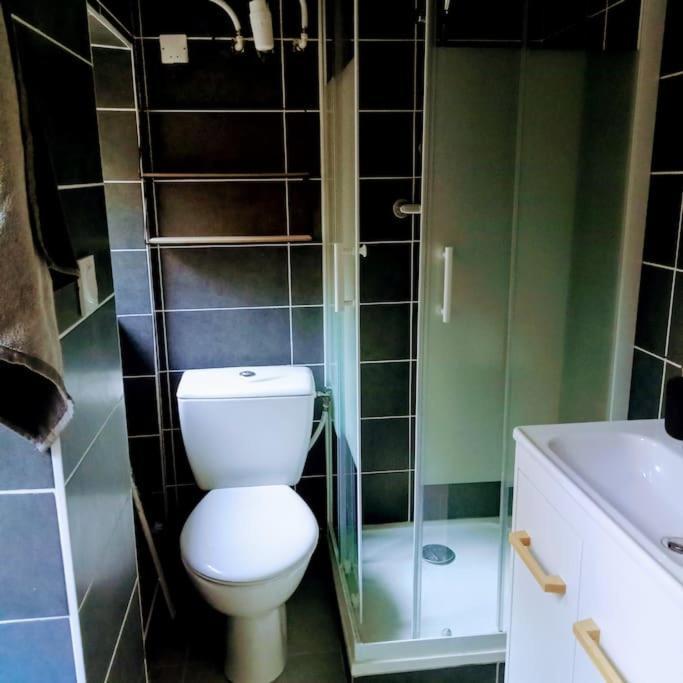 Le Cosy Chaleureux Appartement Saint-Etienne  Buitenkant foto